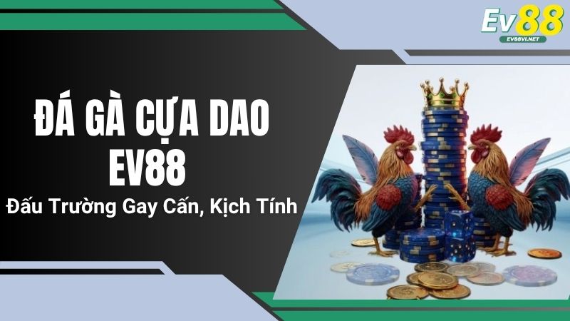 Đá Gà Cựa Dao EV88 - Đấu Trường Gay Cấn, Kịch Tính