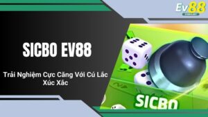 Sicbo EV88 - Trải Nghiệm Cực Căng Với Cú Lắc Xúc Xắc